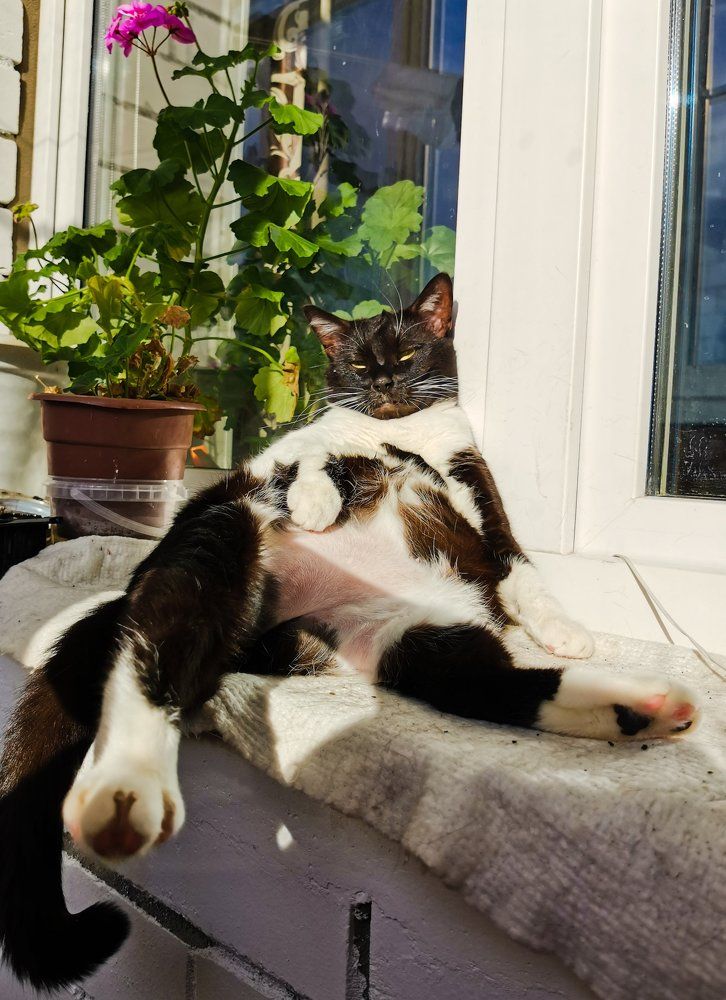 Photograph by Юлия Тарасенко