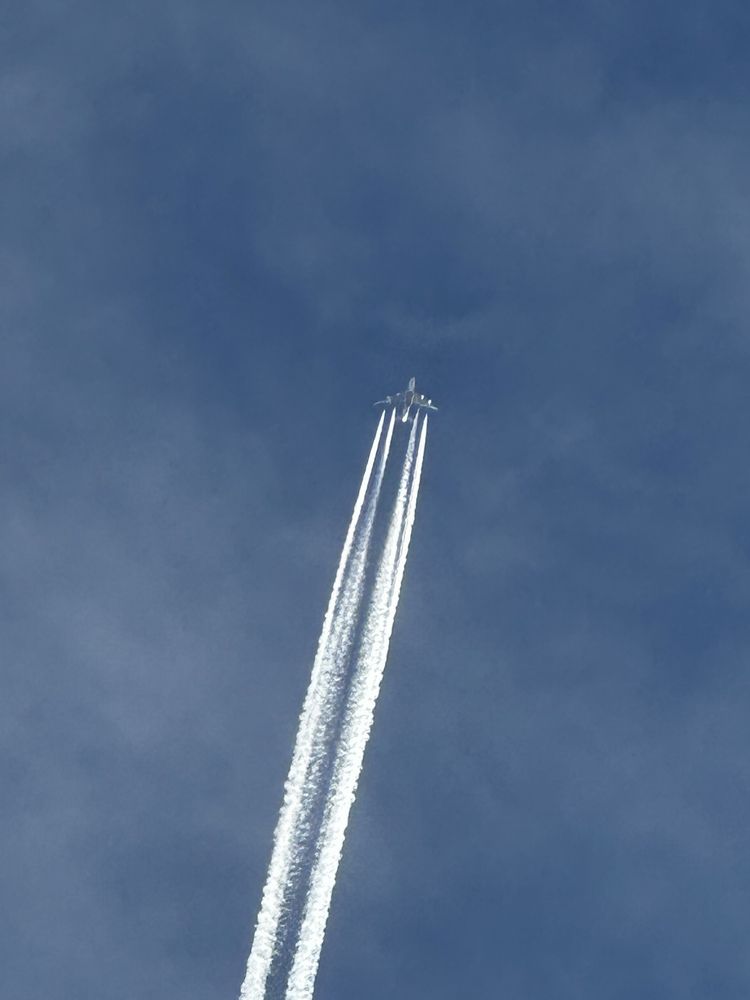 Фотография автора Яврова Татьяна