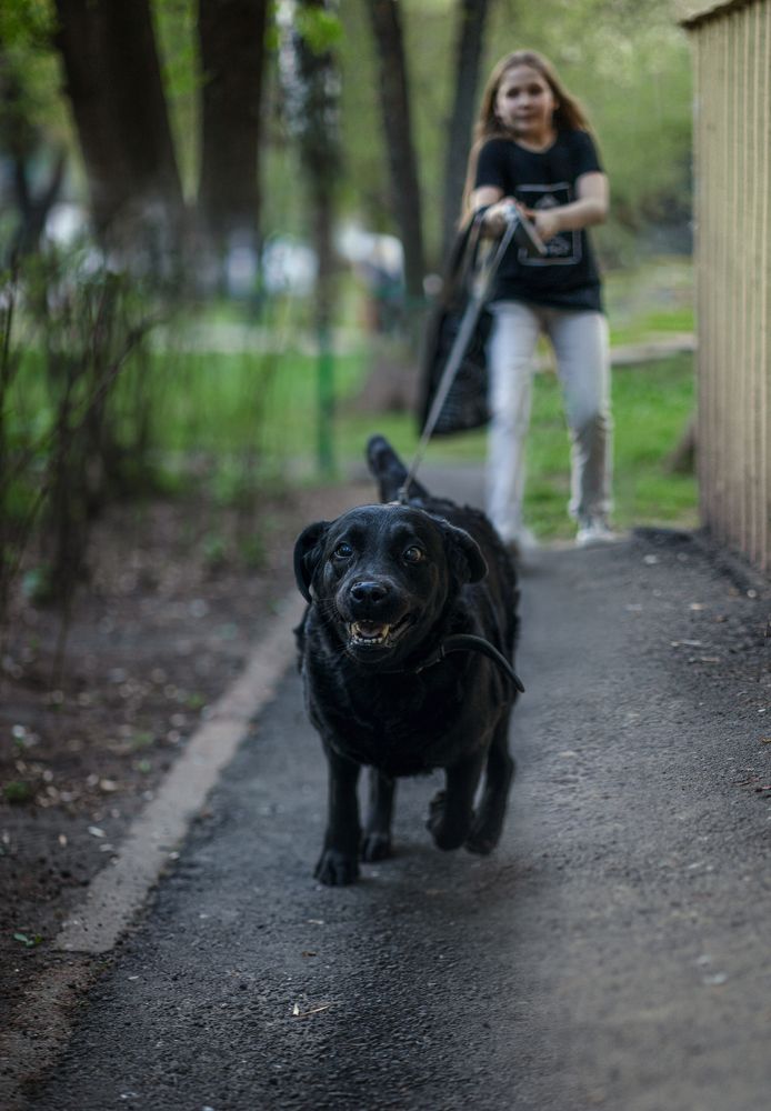 Photograph by Людмила Панюхина