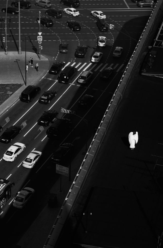 Photograph by Serge Smelyan