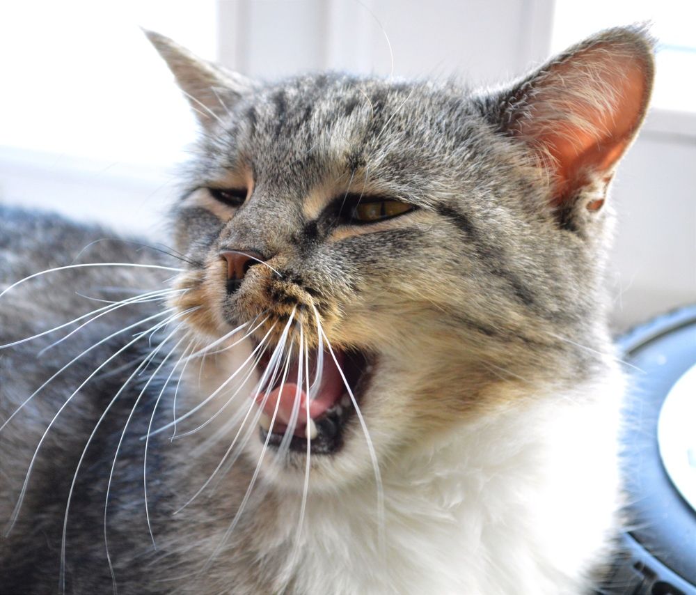 Photograph by Наталья