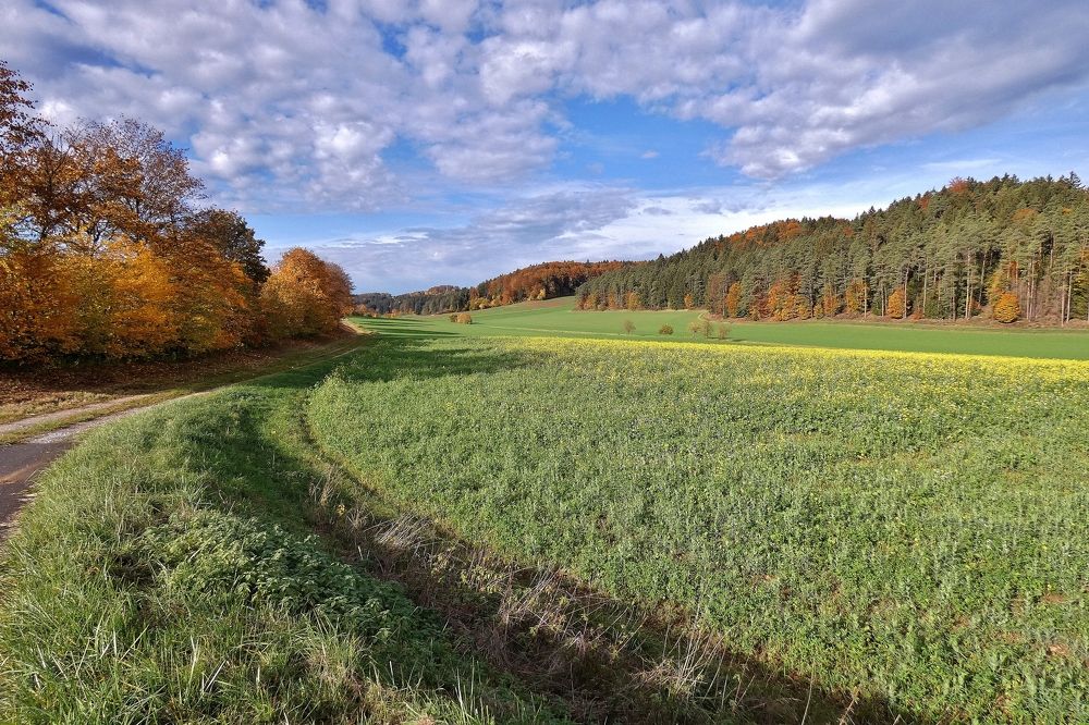 Photograph by backareva irina