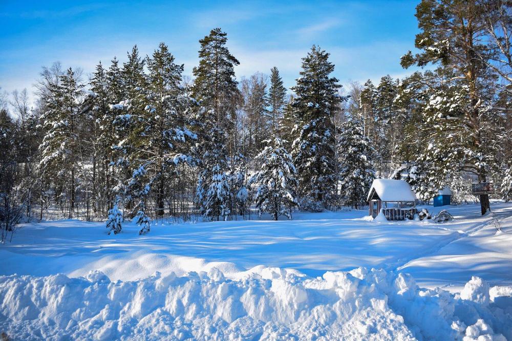 Photograph by Сауия Назмутдинова