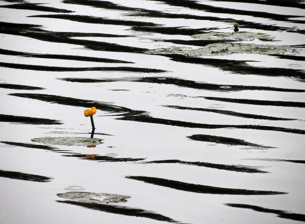 Photograph by Андрей