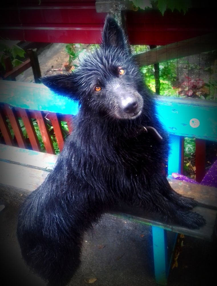 Photograph by Наталья