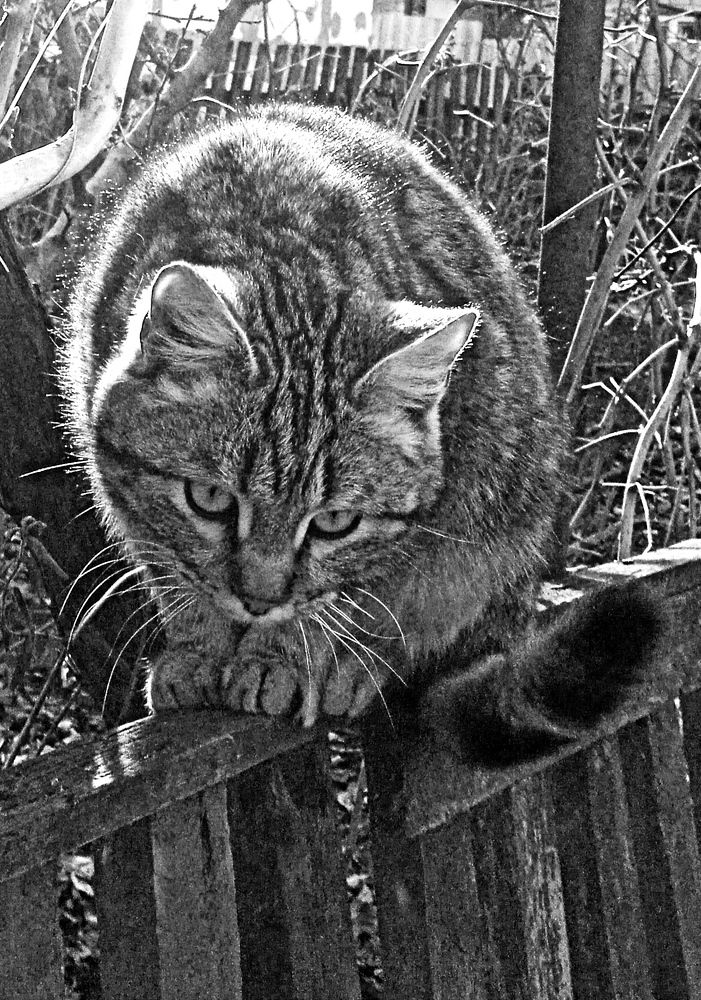 Photograph by Наталья