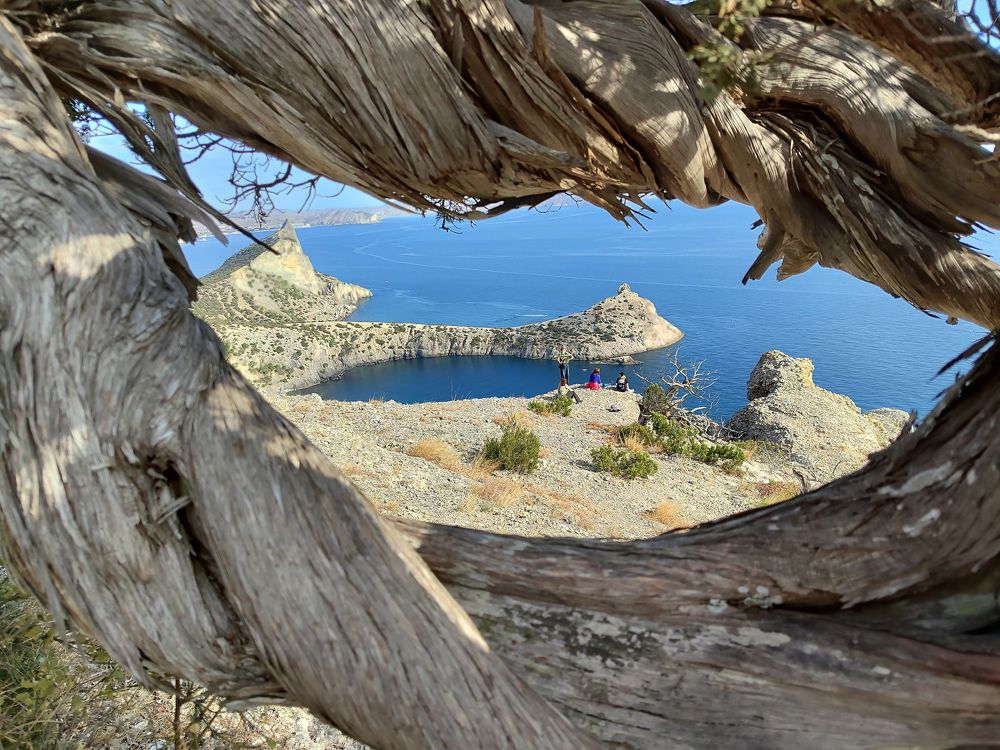 Photograph by Евгений Самулев