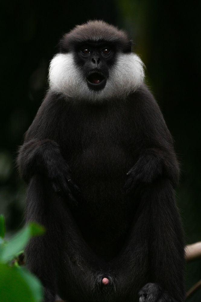 Photograph by Sonnadara Kushan Madushanka