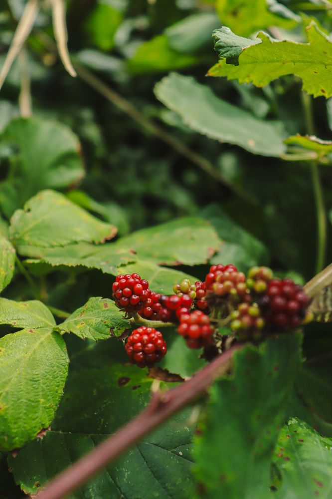 Фотография автора Юлия Гантимурова