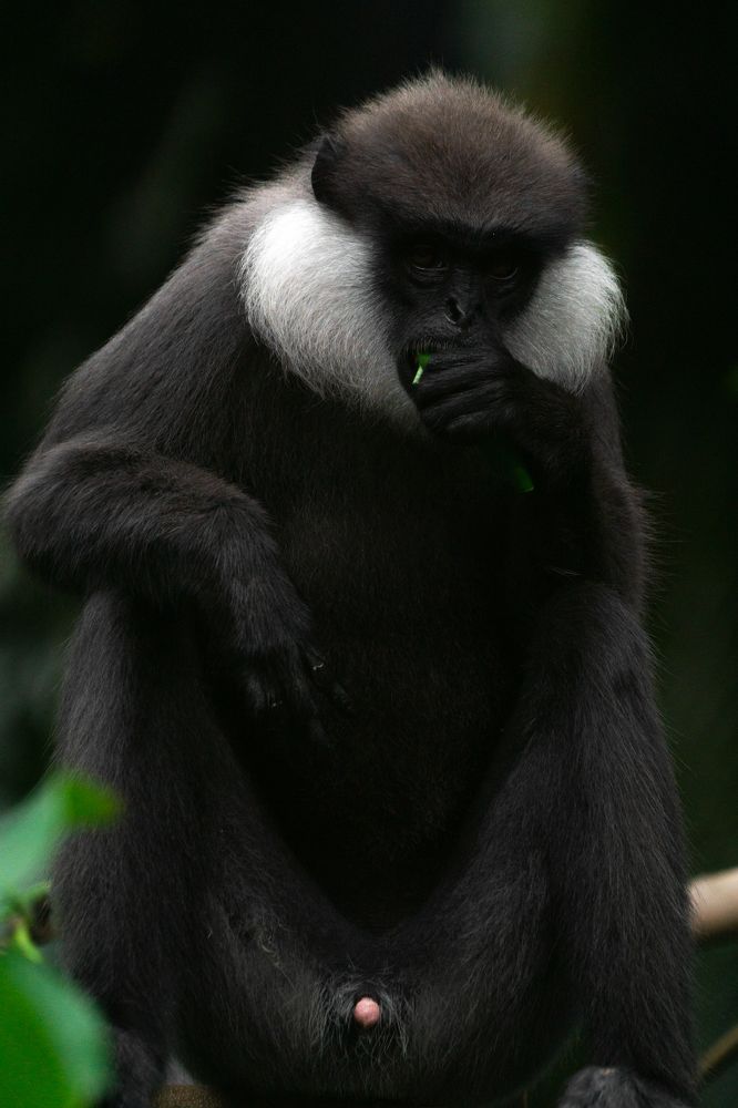 Photograph by Sonnadara Kushan Madushanka