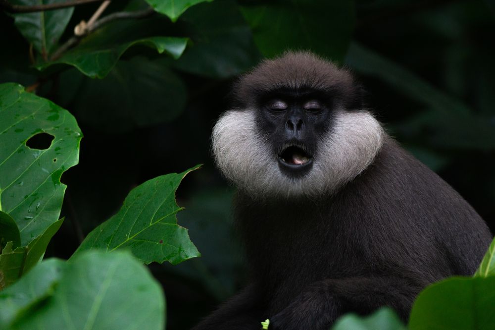 Photograph by Sonnadara Kushan Madushanka