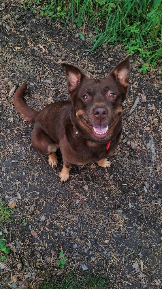 Photograph by Татьяна Лихачева