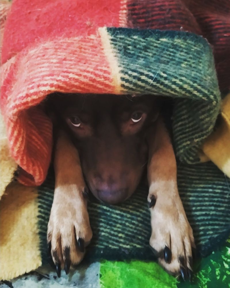 Photograph by Татьяна Лихачева