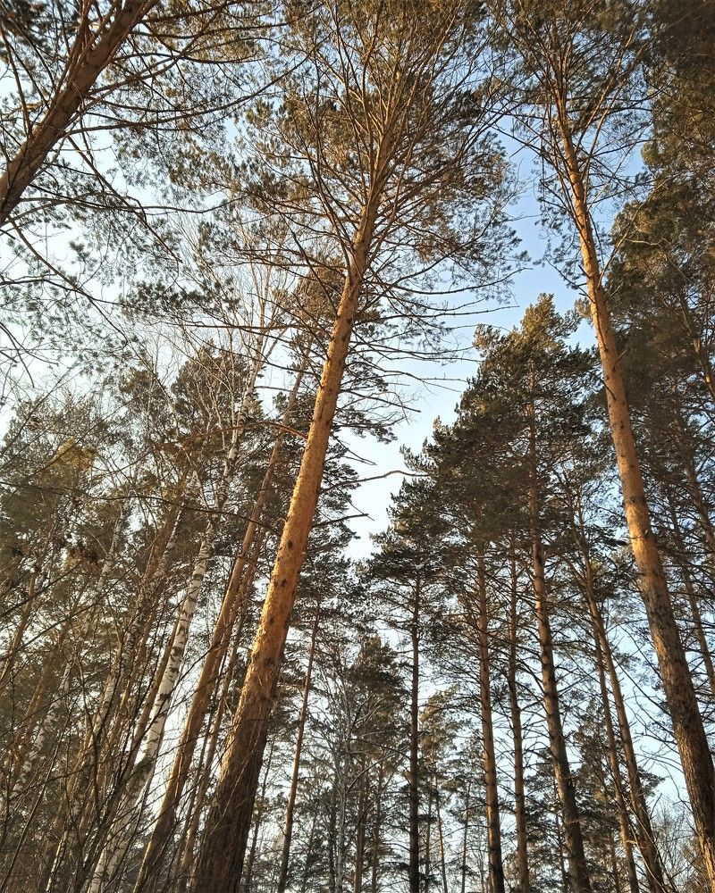 Photograph by Удовченко Елена