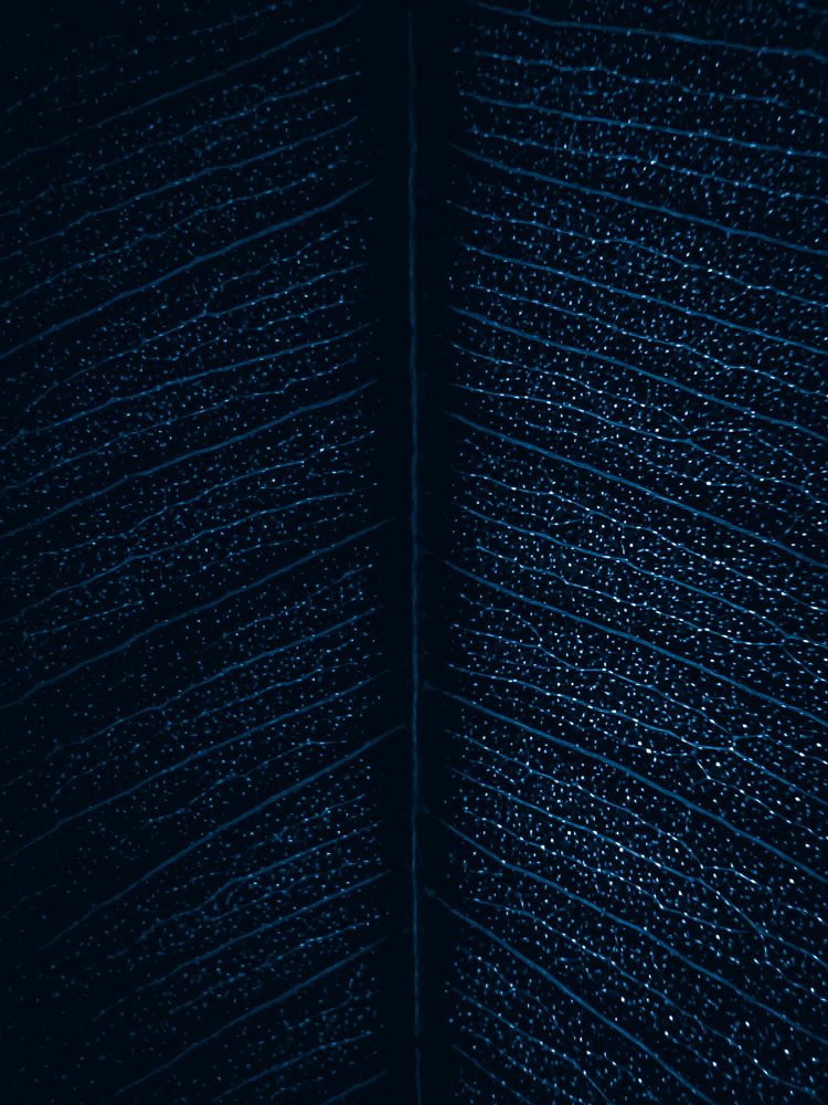 Photograph by Кристина Полякова