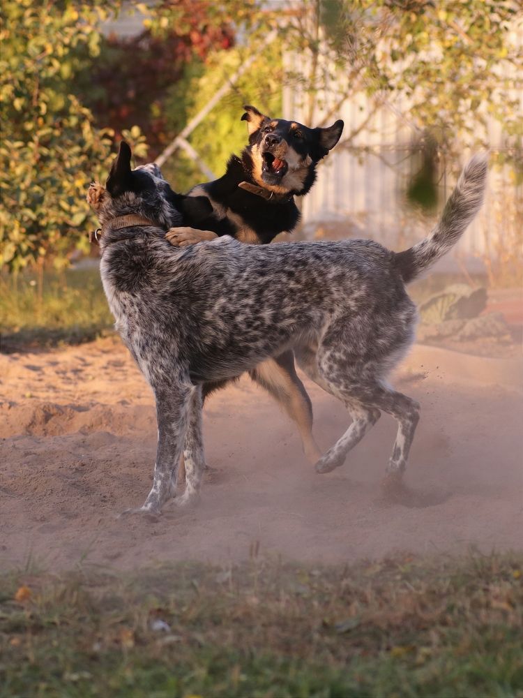 Photograph by Светлана Богомолова