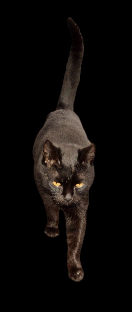 Photograph by Наталья