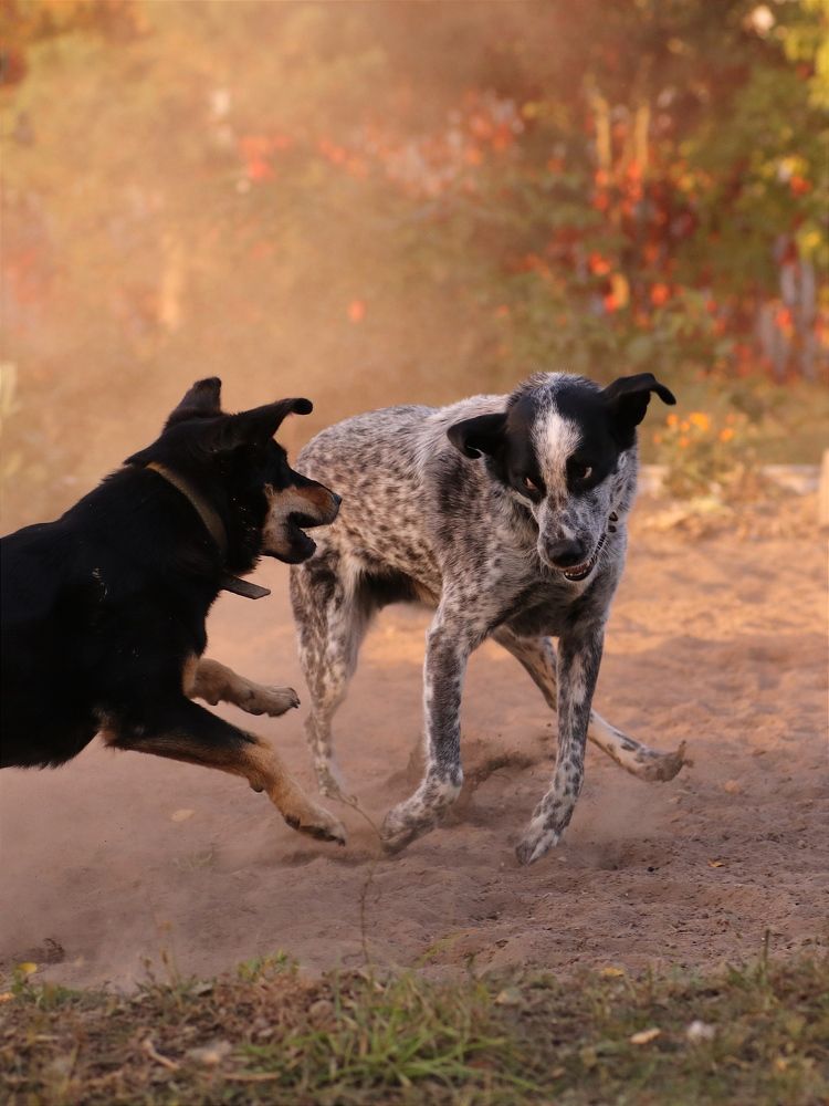 Photograph by Светлана Богомолова