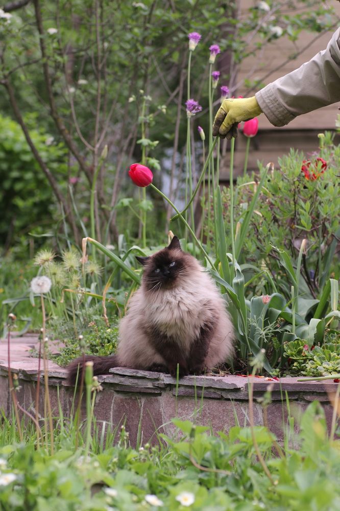 Photograph by Светлана Богомолова