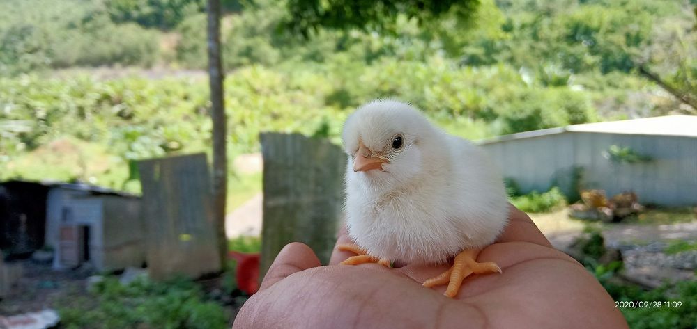 Фотография автора Ganesh Varma