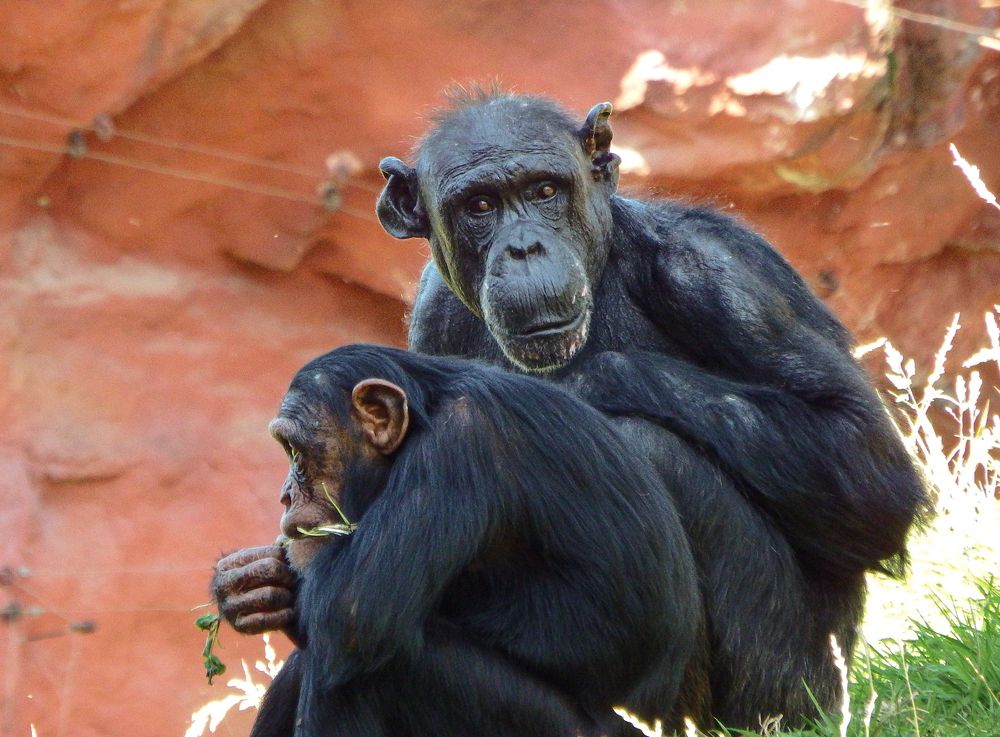 Photograph by Vitalii Kaznin