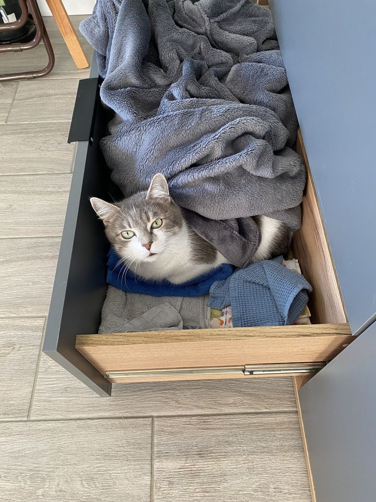 Photograph by Alyona Kokshyna