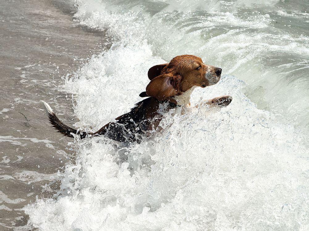 Фотография автора Елена Бурцева