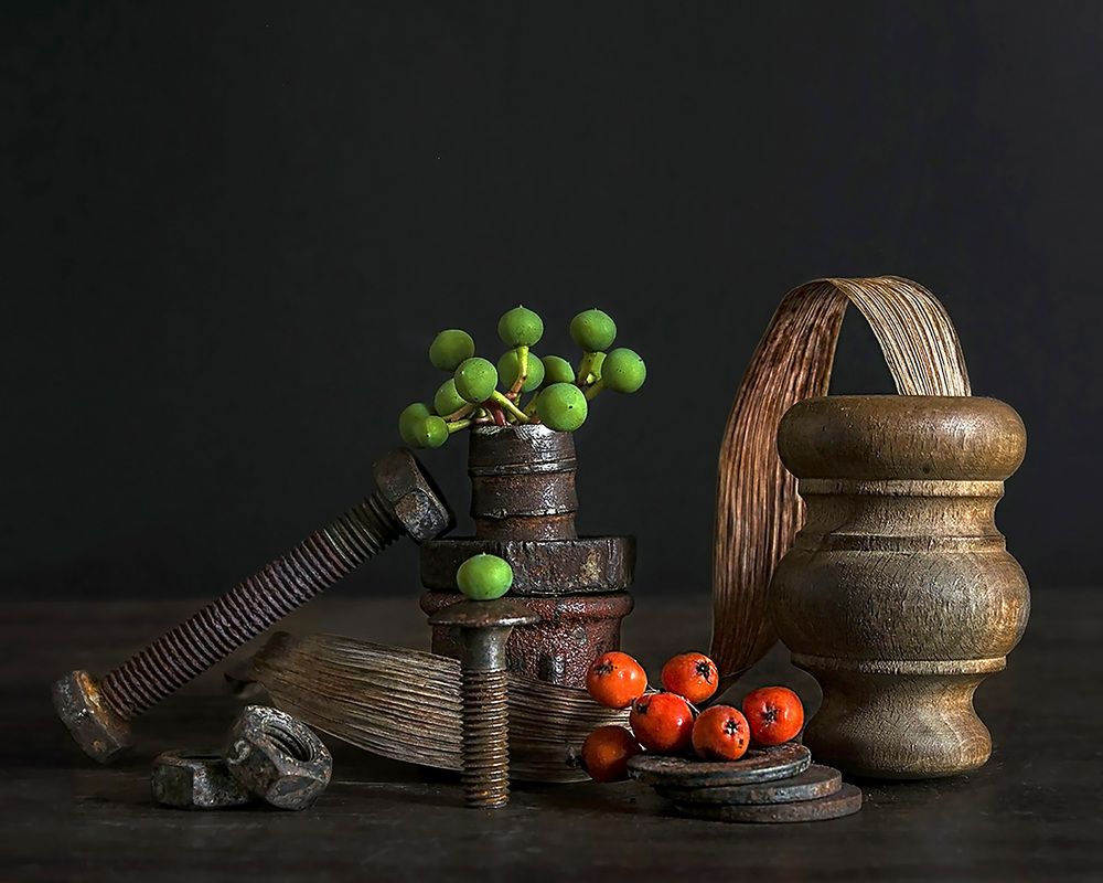 Фотография автора Елена Полякова