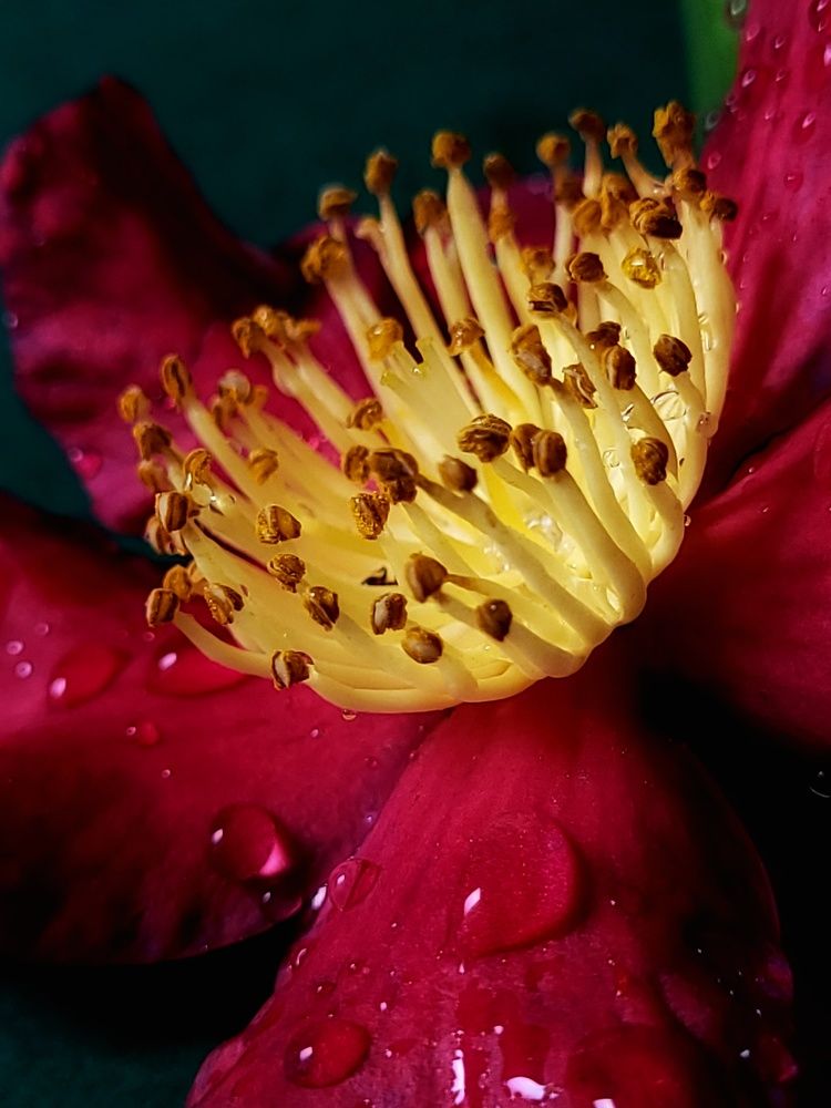 Photograph by Catherine