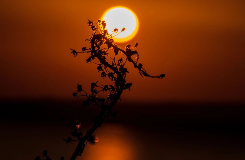 Photograph by Irina Luidinshina