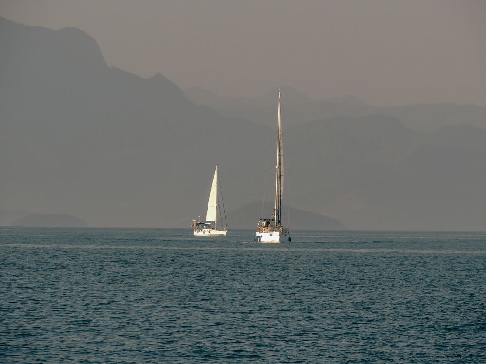 Photograph by Meire Costa