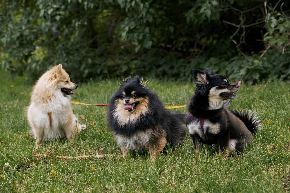 Photograph by Елена Граф