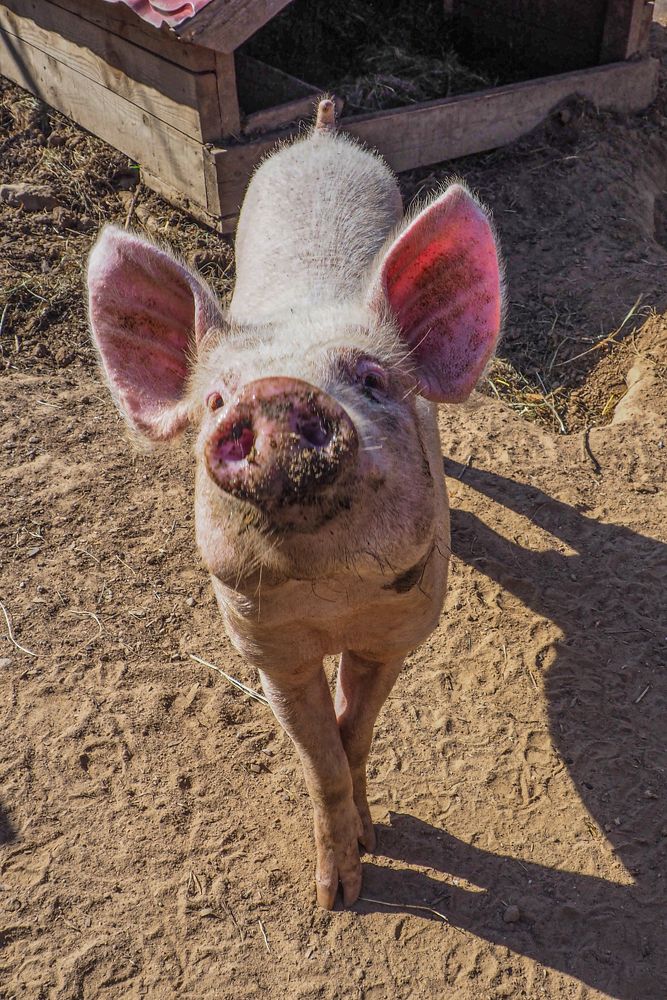 Photograph by Елена Зинцова