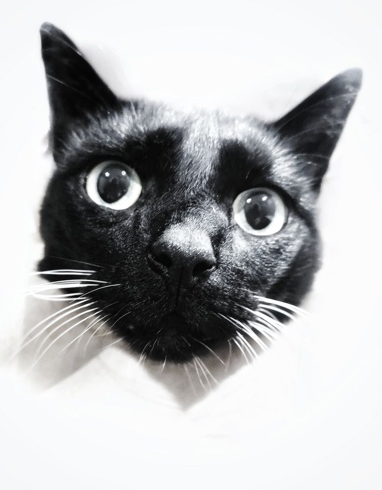 Photograph by Olga Asson