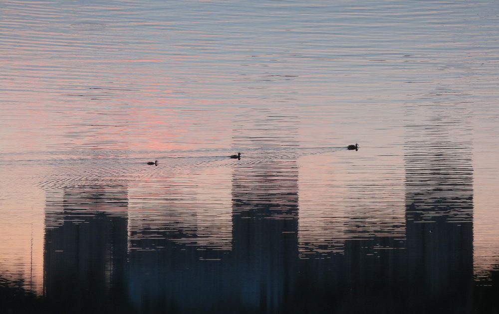 Photograph by Андрей