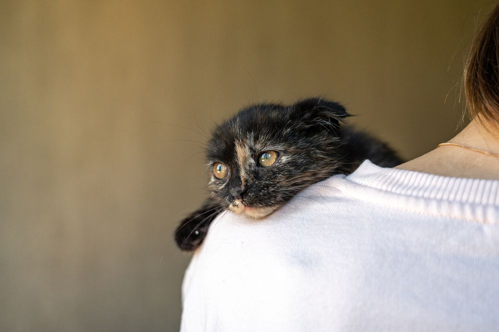 Photograph by Любовь Галушкина