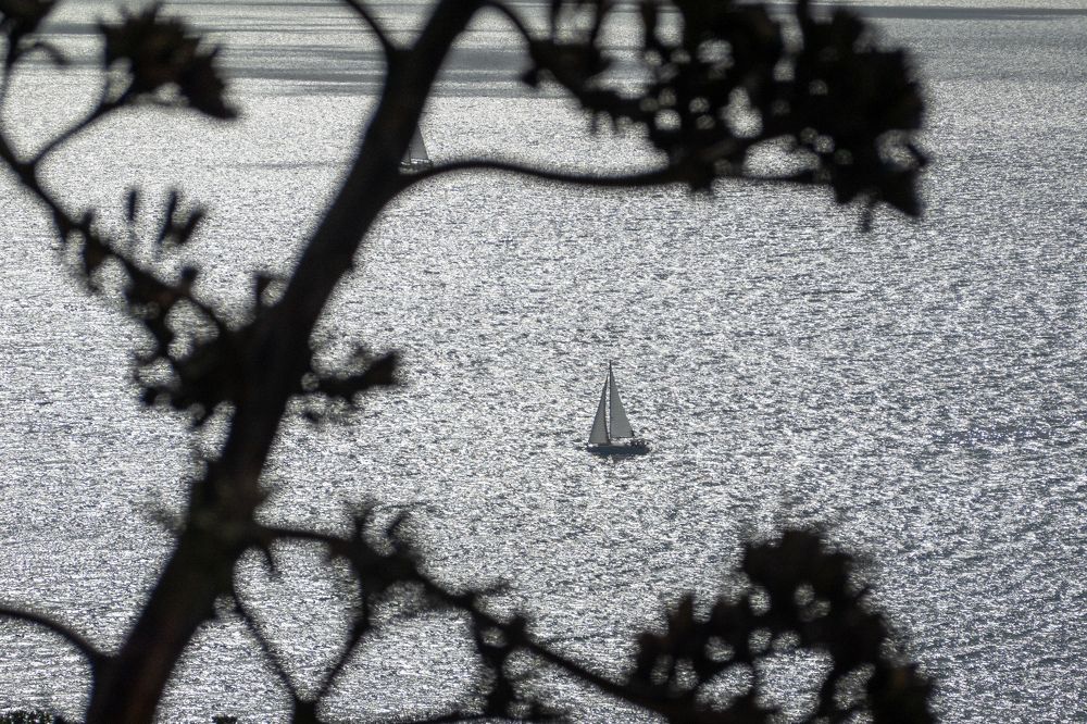 Photograph by Егор Кошкин