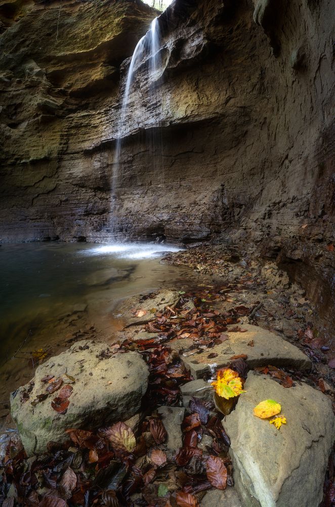 Photograph by Орнатский Александр