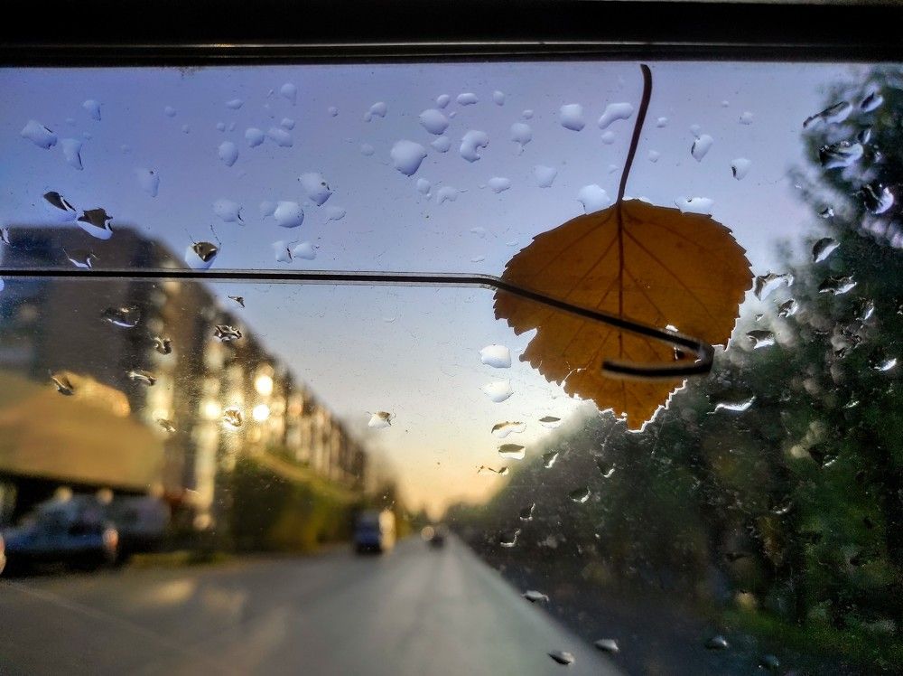 Photograph by Ирина Саттарова