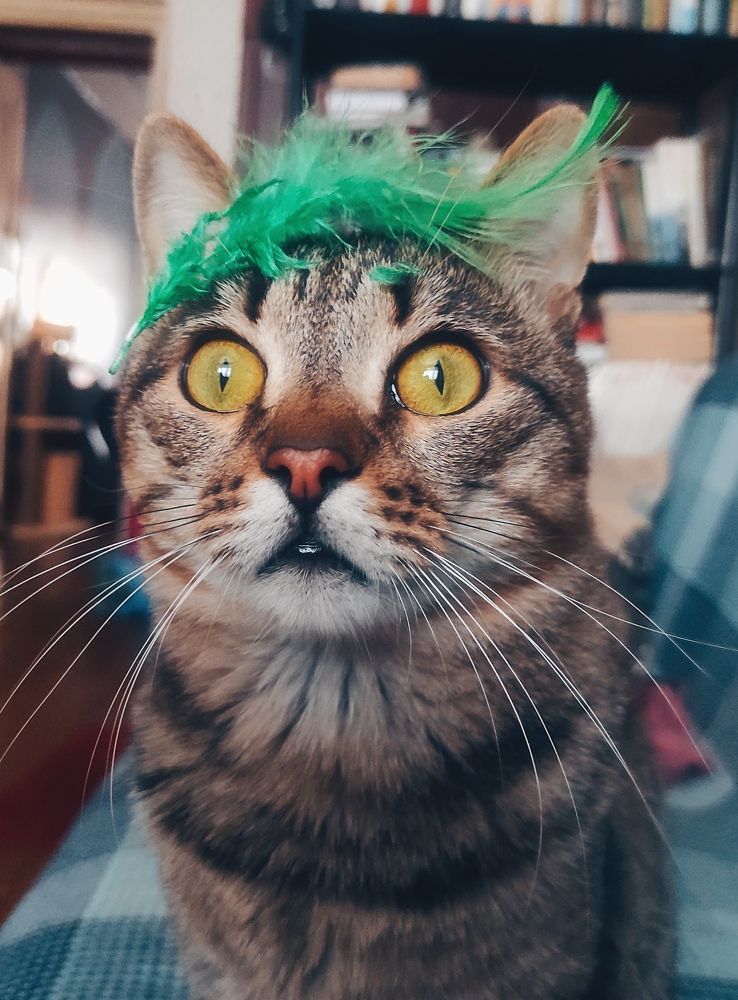 Photograph by Ирина Саттарова