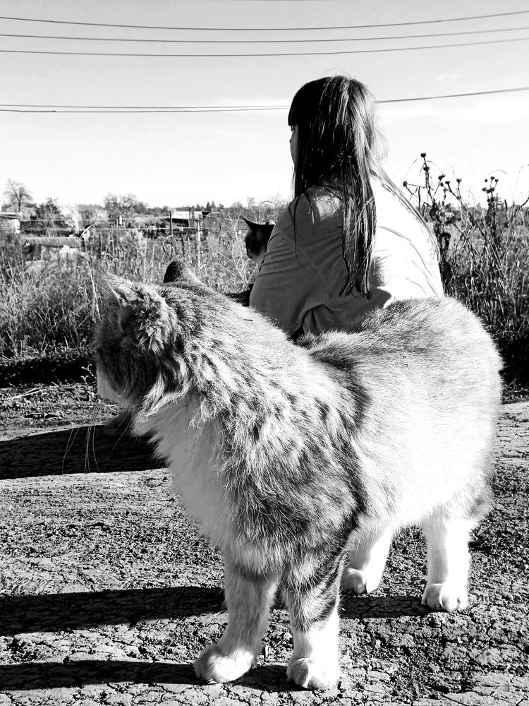 Photograph by Наталья