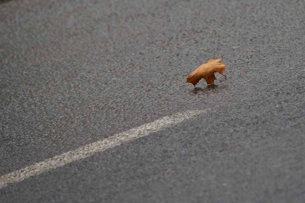 Photograph by Дмитрий Солодухин