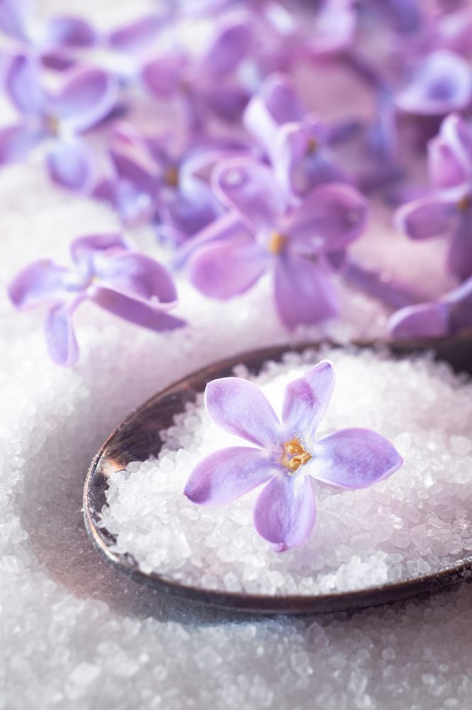 Photograph by Monika Vychodilova