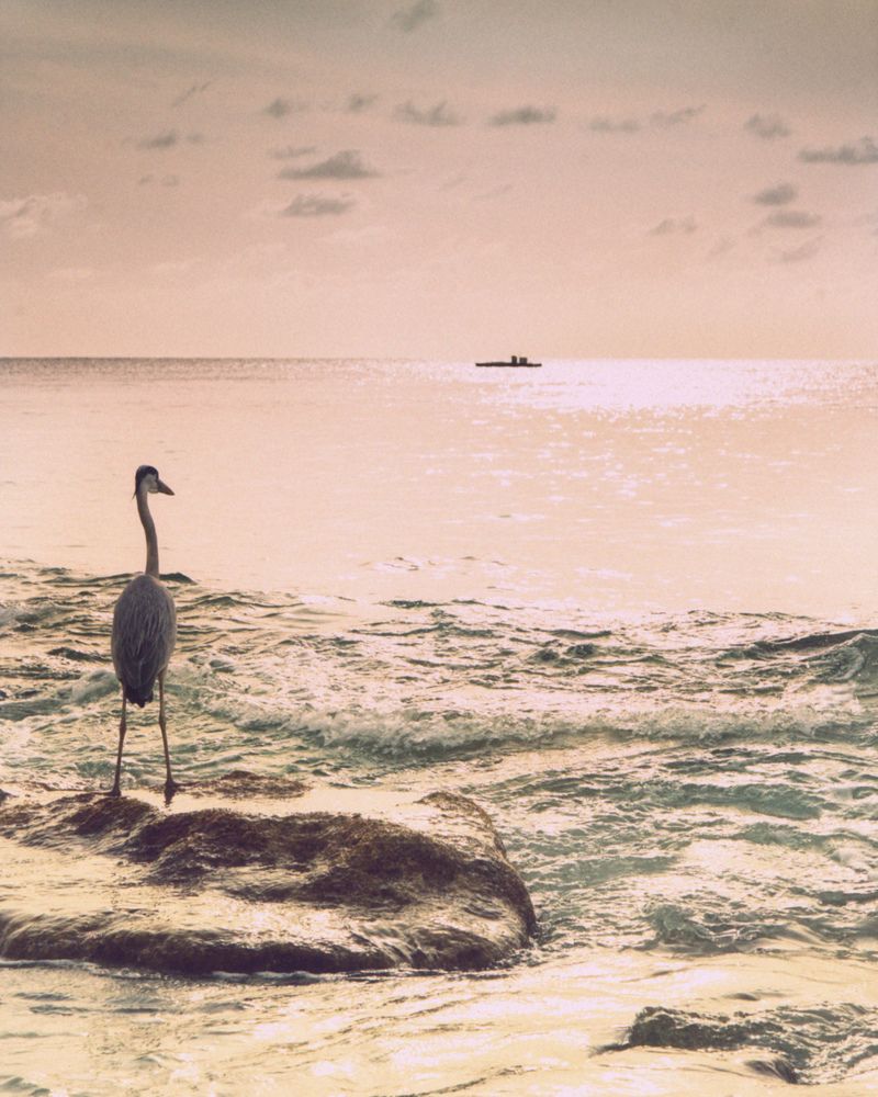 Photograph by Юлия