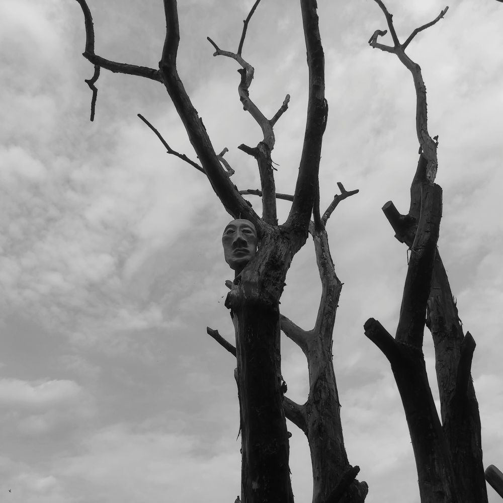 Photograph by Ирина Саттарова