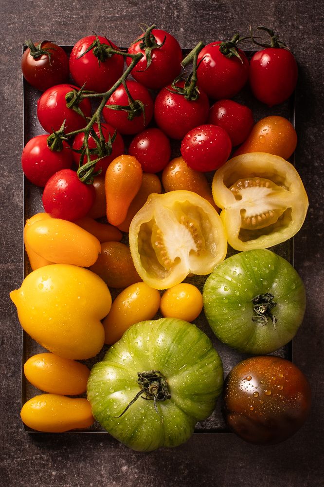 Photograph by Monika Vychodilova