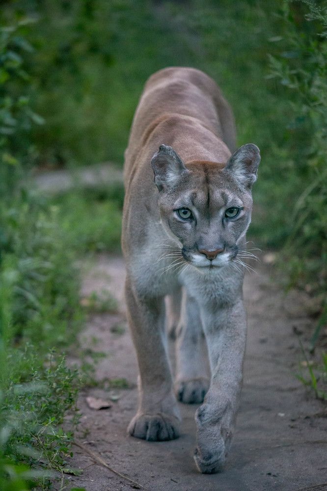 Photograph by Евгения Бочарова