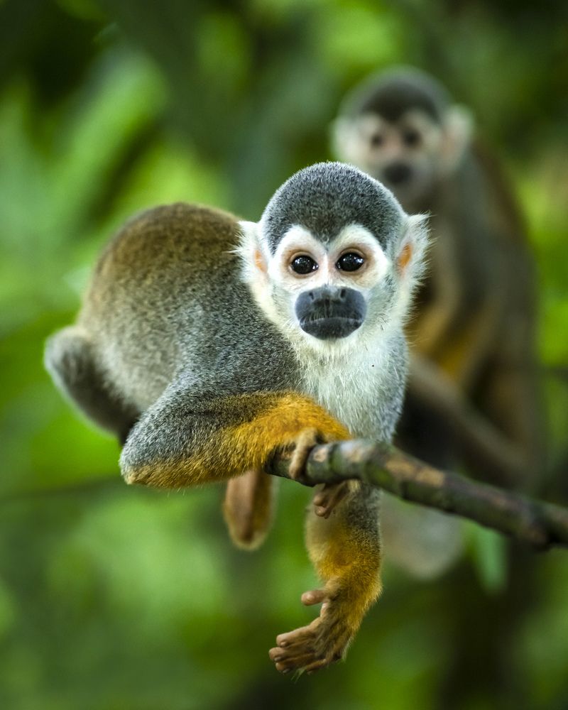 Photograph by Niko Jacob