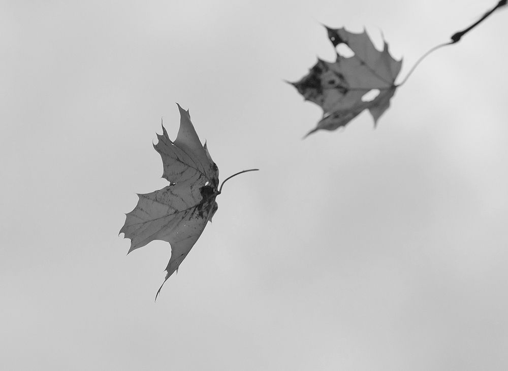 Photograph by Вячеслав Швецов