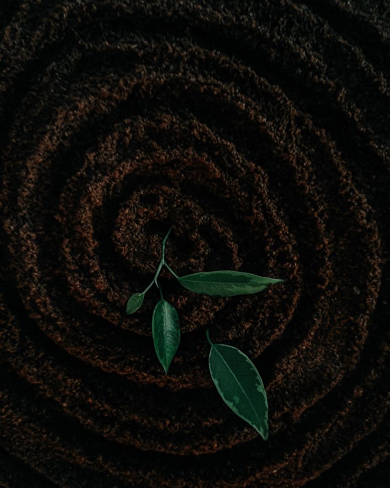 Photograph by Ирина Герлин